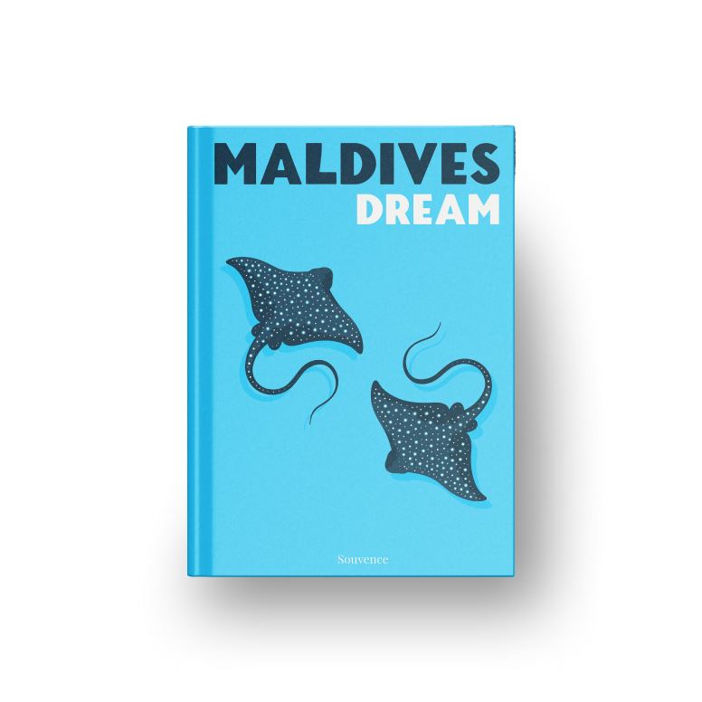 Livre photo de voyage - Votre dernière destination sublimé en moins de 5 minutes.