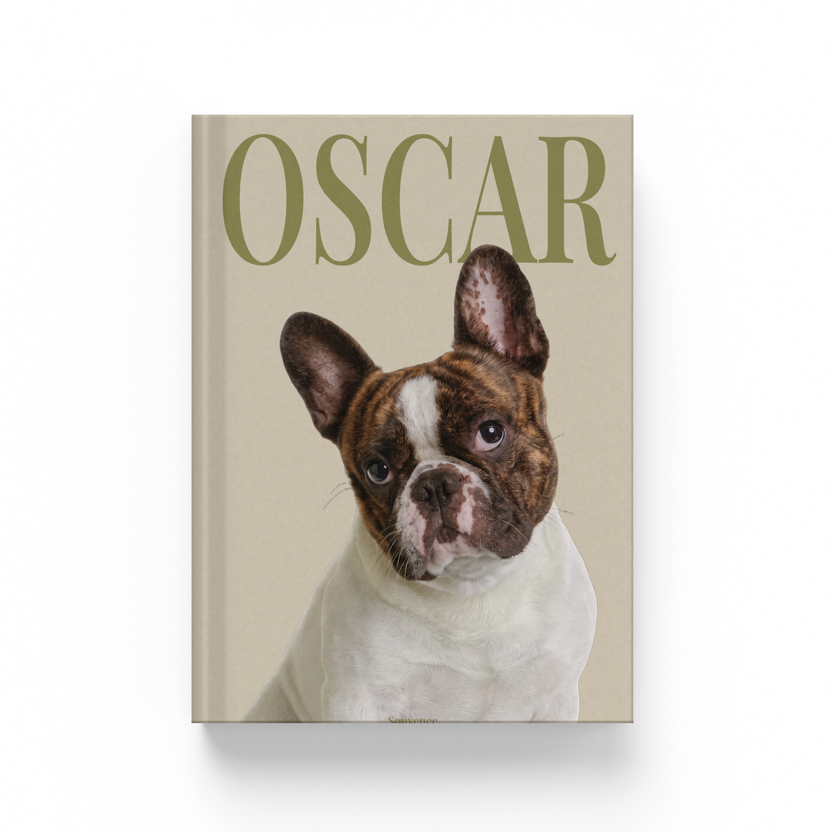 Dog 3