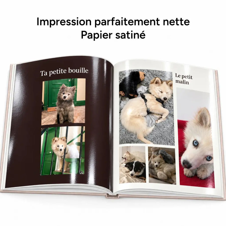 Dog Photobooks