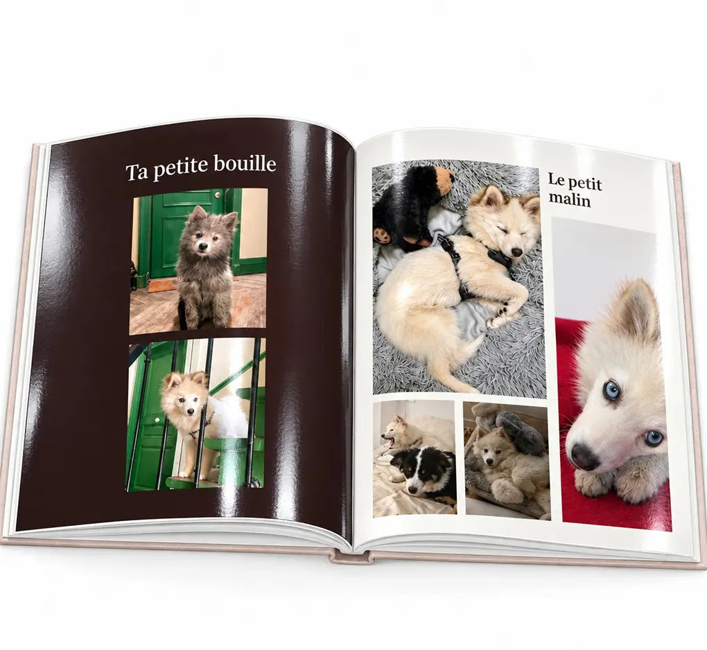 Pages intérieures brillantes